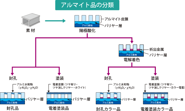 陽極酸化皮膜及び複合皮膜モデル